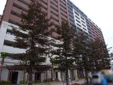 Ժֶ ˥С륷ƥؤΥΥ١ʪβ